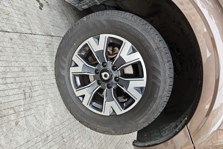 Used Great Wall Poer 2021 2.0T Global Version Passenger Automatic Diesel Two-Wheel Drive Comfort Trim Standard Cab GW4D20M
