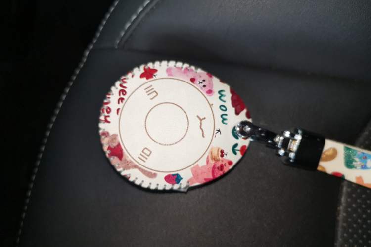 Used NETA V 2021 Long-Range Entertainment Edition Upgrade Model