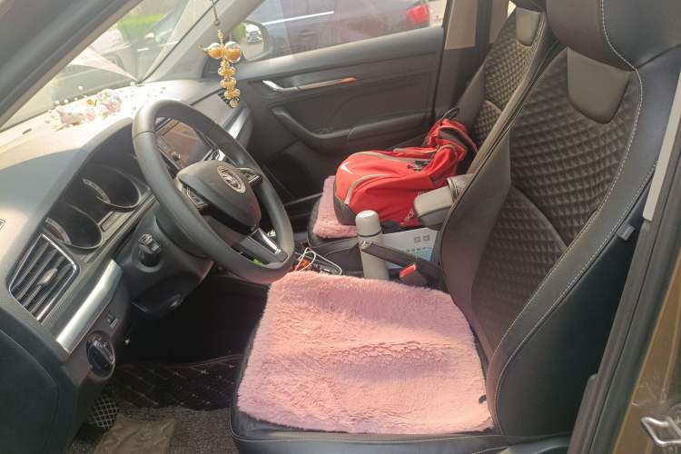 Used Skoda Kamiq 2018 1.5L Automatic Comfort Edition China VI Standard Left Front Seat