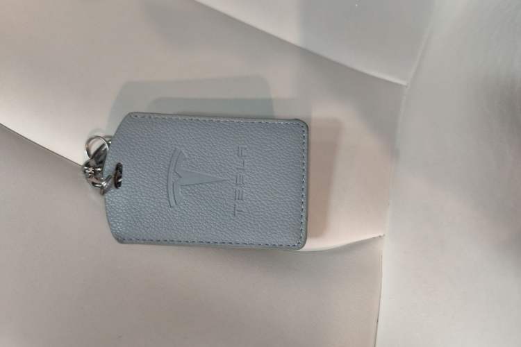 Used Tesla Model 3 2022 Rear-Wheel-Drive Version Interior 1