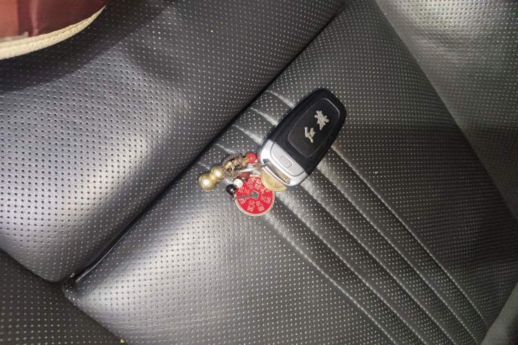 Used Hongqi H9 2020 2.0T Smart Connect Flagship Edition