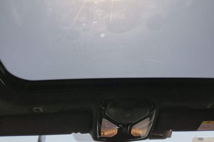 Used BMW 5 Series 2021 530Li Leading Model M Sport Package Headliner