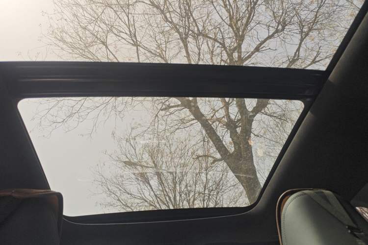 Used Geely Auto Monjaro L 2024 2.0TD High-Power Automatic Two-Wheel Drive Skyline Edition Headliner