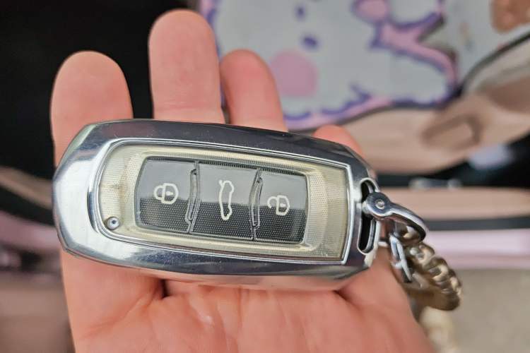 Used Geely Galaxy Panda 2023 Panda Mini 200km Endurance Bear Interior 1