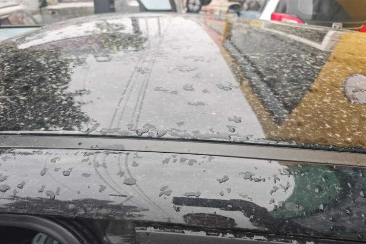 Used ORA Black Cat 2021 351 km Standard Version
