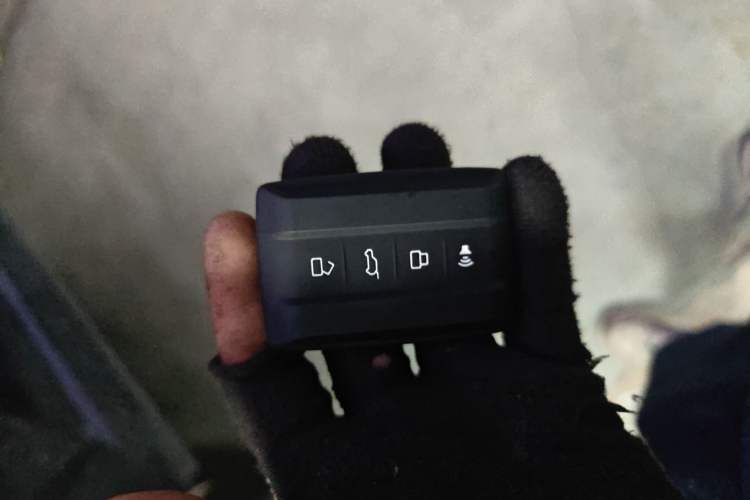 Used Tank 400 New Energy 2024 Hi4-T City Edition