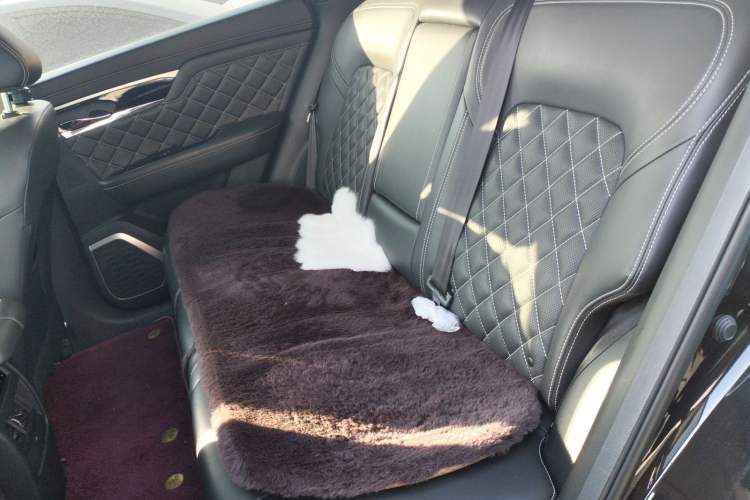 Used Venucia Star 2021 260T Automatic 48V Mild Hybrid Turbocharged Star曜 Edition