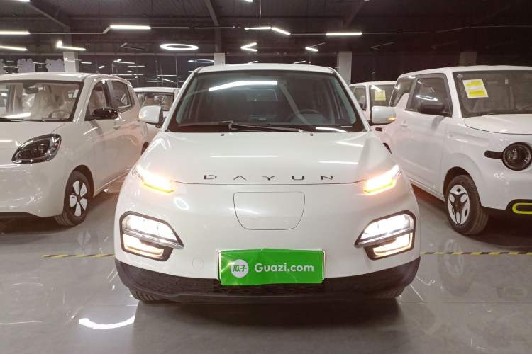 Used Dayun Yuehu 2021 32.85 kWh Two-Wheel-Drive Sprite Version
