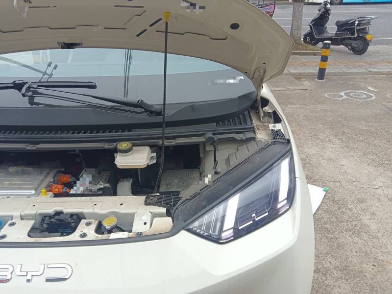 Used BYD Seagull 2025 305 km Free Version — 25