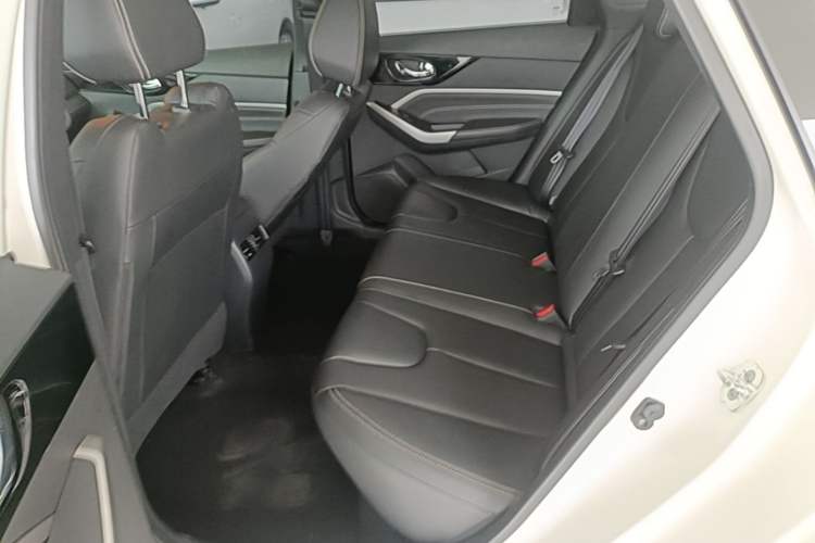Used Venucia D60 2021 PLUS 1.6L XL CVT Yue Ling Edition