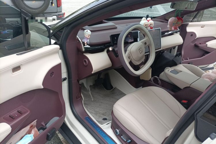 Used Zeekr X 2025 5-Seater Rear-Drive Version