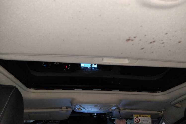 Used Ford Focus 2017 Sedan EcoBoost 125 Automatic Supreme Style SmartDrive Edition Headliner