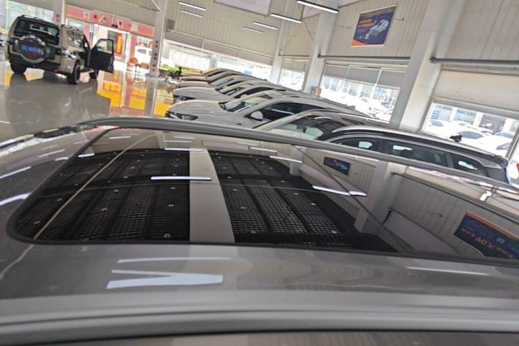 Used Livan 9 2023 470 km Executive Version
