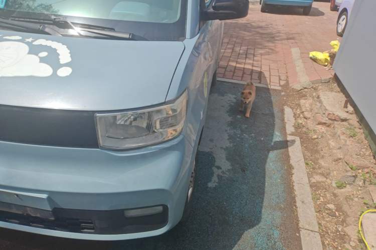 Used Wuling Hongguang MINIEV 2020 Lite Version Lithium Iron Phosphate
