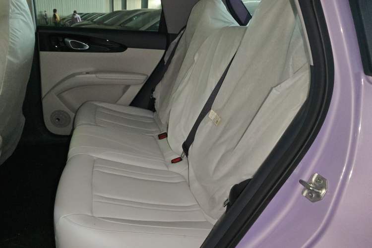 Used Geely Galaxy Geome 2026 Model 310km Dream Edition Left Rear Seat