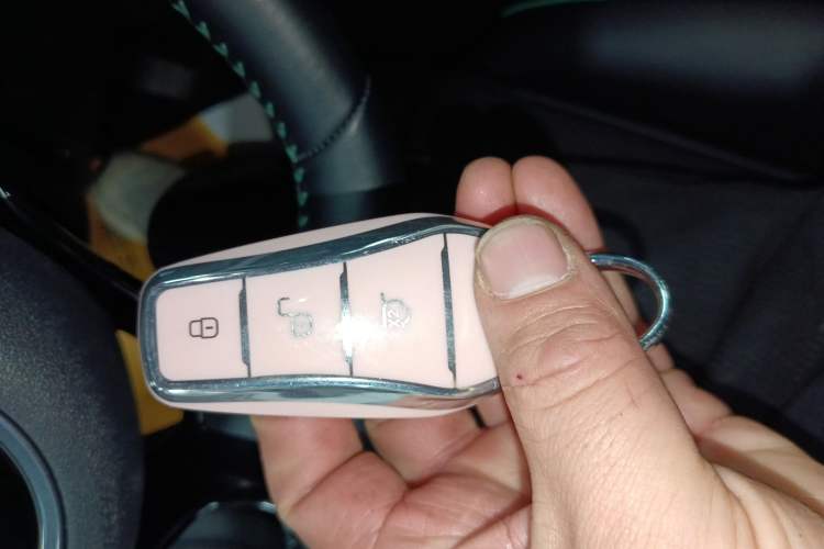 Used BYD Dolphin 2023 401km Knight Edition