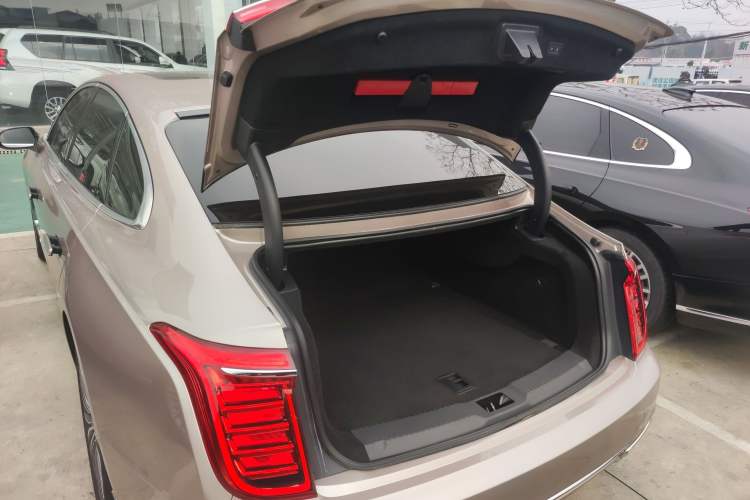 Used Hongqi H9 2020 2.0T Smart Connect Flagship Edition