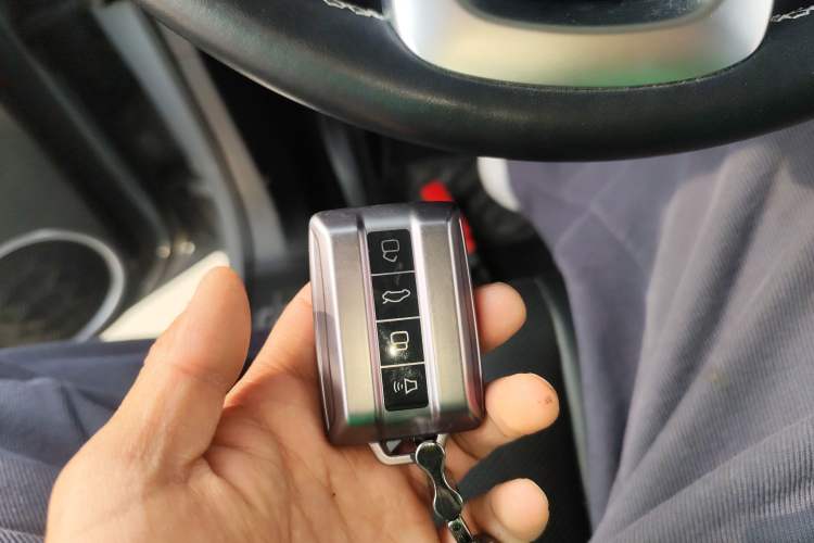 Used Tank 300 2021 City Edition 2.0T—Truly Stylish