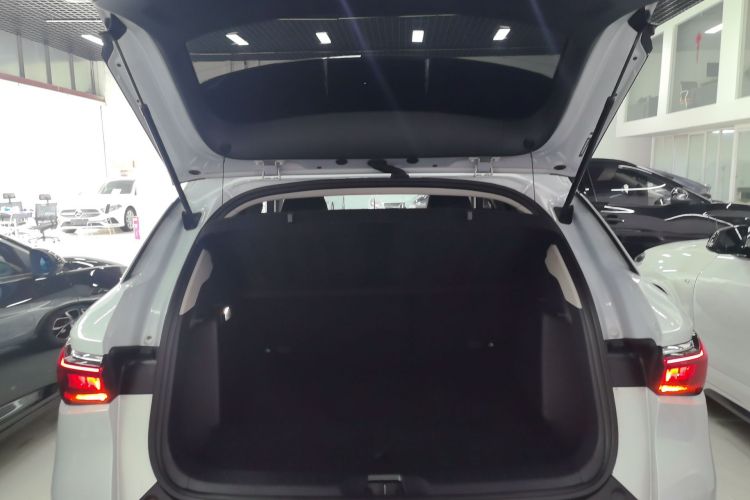 Used BYD Yuan PLUS 2022 430 km Luxury Version Trunk