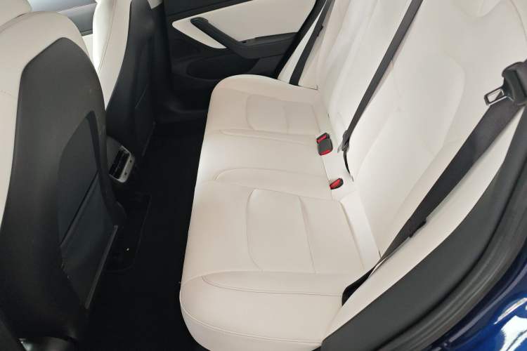 Used Tesla Model 3 2019 Long-Range Rear-Wheel-Drive Version