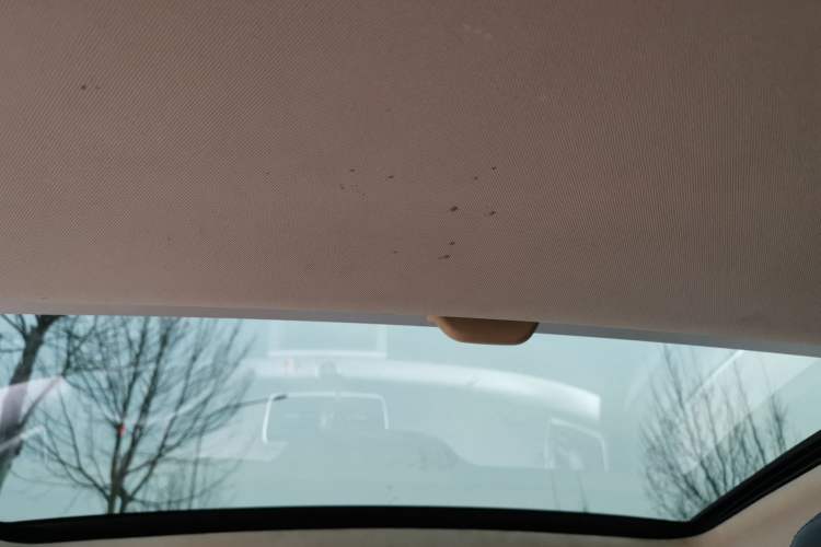 Used Volkswagen FAW-Volkswagen CC 2018 1.8TSI Luxury Model Headliner