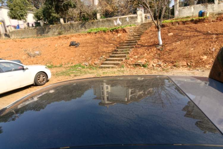 Used firefly firefly 2025 Illuminated Edition
