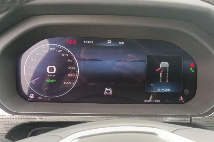 Used Tank 400 2025 2.0T Gasoline Version
