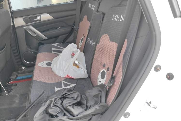 Used Haval H2 2017 Red-Label 1.5T Manual Two-Wheel Drive Comfort Model Left Rear Seat