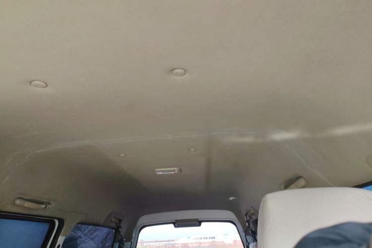 Used FORTHING Lingzhi 2020 M5L 1.6L Utility Model
