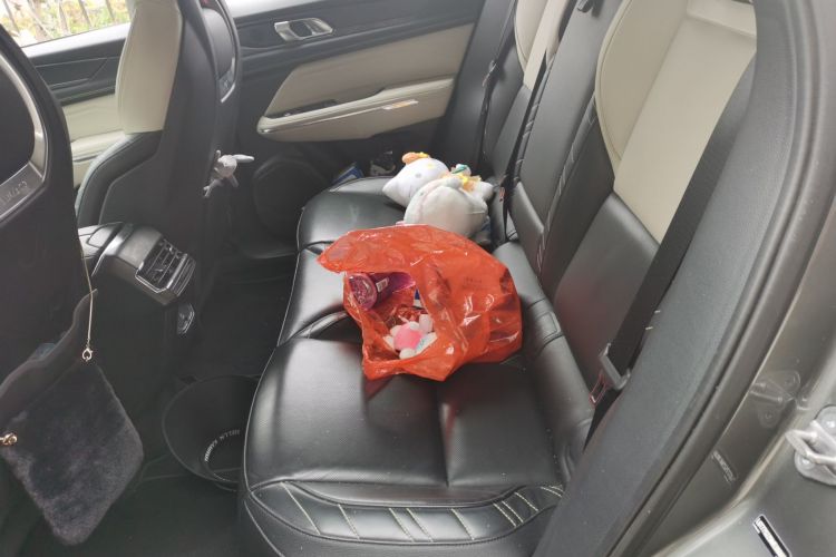 Used Lynk & Co 05 2020 2.0TD Two-Wheel Drive Shine Halo Left Rear Seat