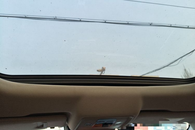 Used BYD Song Pro 2019 1.5T Automatic Luxury Model