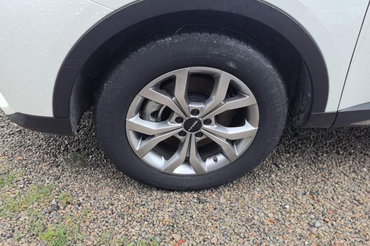 Used Haval H6 2021 National Trend Edition 1.5T Automatic Champion Version