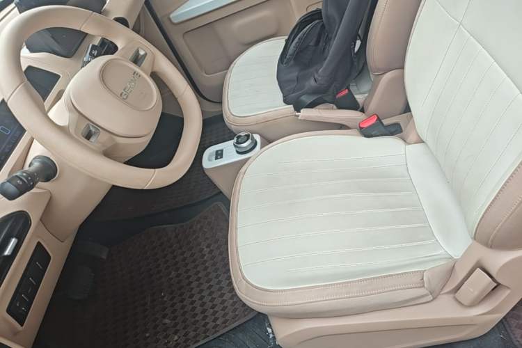 Used Geely Galaxy Panda 2024 Panda Mini 200km Endurance Bear
