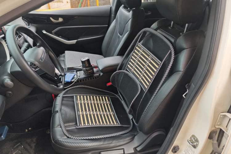 Used Venucia D60EV 2022 Standard Range Smart Drive Version
