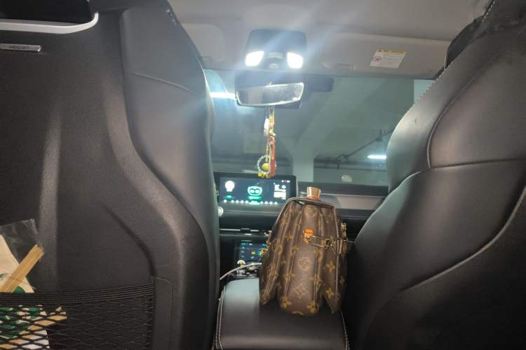 Used NETA U 2021 Pro 500 Global Edition Headliner