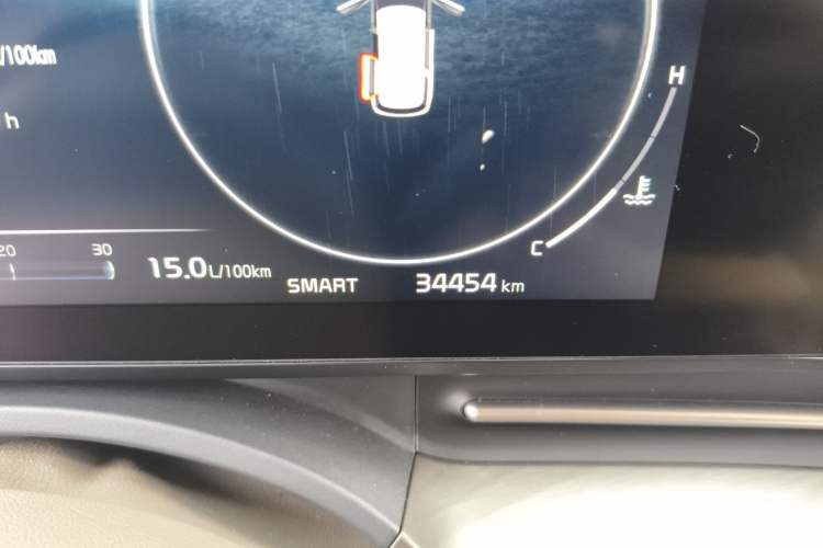 Used Kia Carnival 2021 2.0T Flagship Edition Odometer Close Up