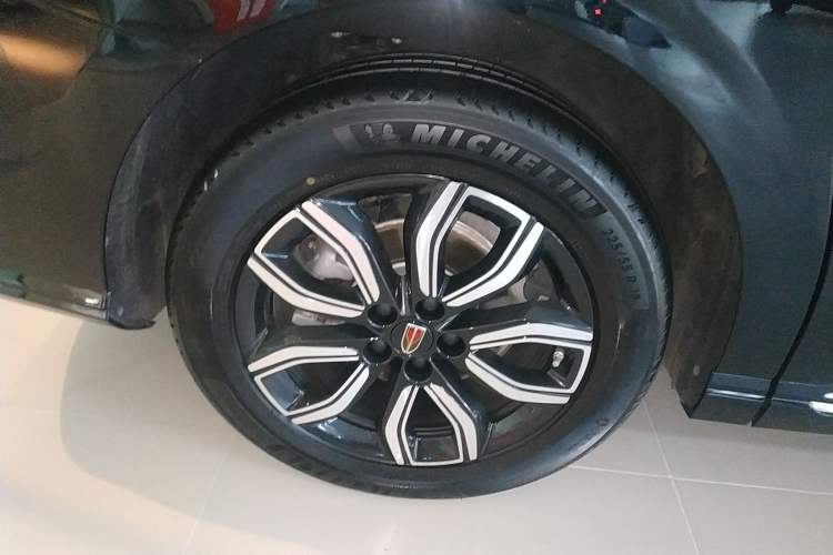 Used Hongqi HQ9 2023 2.0T Smart Connect Flagship Edition