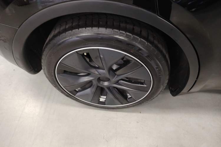 Used Tesla Model Y 2021 Standard Range Rear-Wheel Drive Version