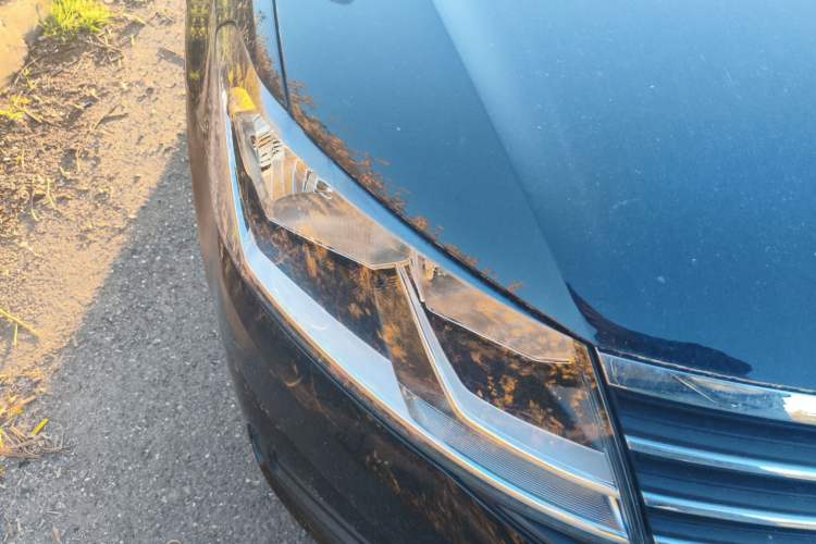 Used Volkswagen Lavida 2019 Lavida Start 1.5L Automatic Trendy Version China VI Standard Right Front Headlight