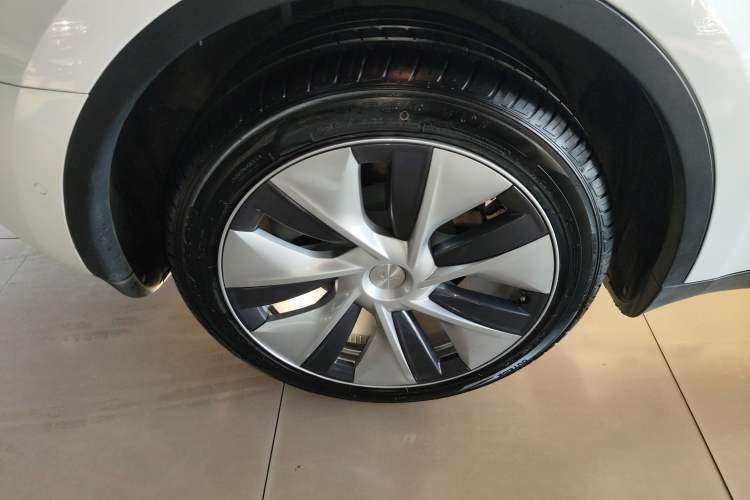 Used Tesla Model Y 2021 Standard Range Rear-Wheel Drive Version
