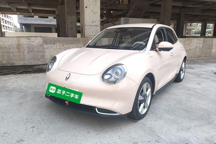 ORA Good Cat 2023 401 km Standard Range Luxury Version Lithium Iron Phosphate مستعملة