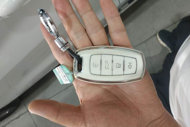 Used Haval H6 Coupe 2020 Smart Connect Version 1.5T Manual Two-Wheel Drive Elite Model