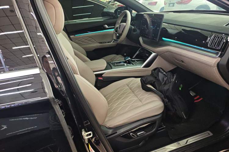 Used BYD Tang New Energy 2024 DM-i Glory Edition 112KM Prestige Model Right Front Seat