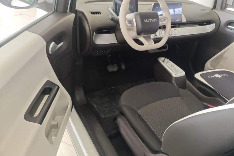 Used Qiyuan Lumin 2026 Model Treasure Edition 205km Passionate Beige Ningde