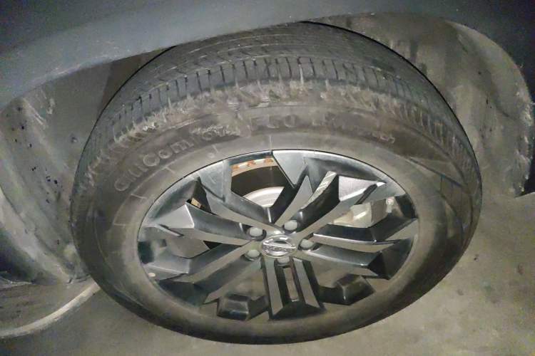 Used Haval DARGO 2021 1.5T DCT Two-Wheel Drive Border Collie Edition