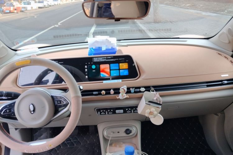 Used ORA Good Cat 2023 501 km Long-Range Luxury Version Ternary Lithium Center Console