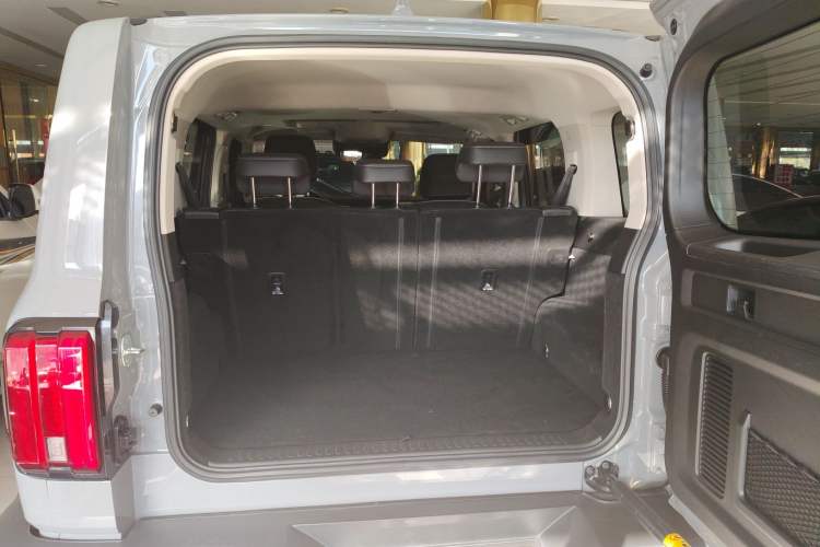 Used Tank 300 2024 2.0T Conqueror
