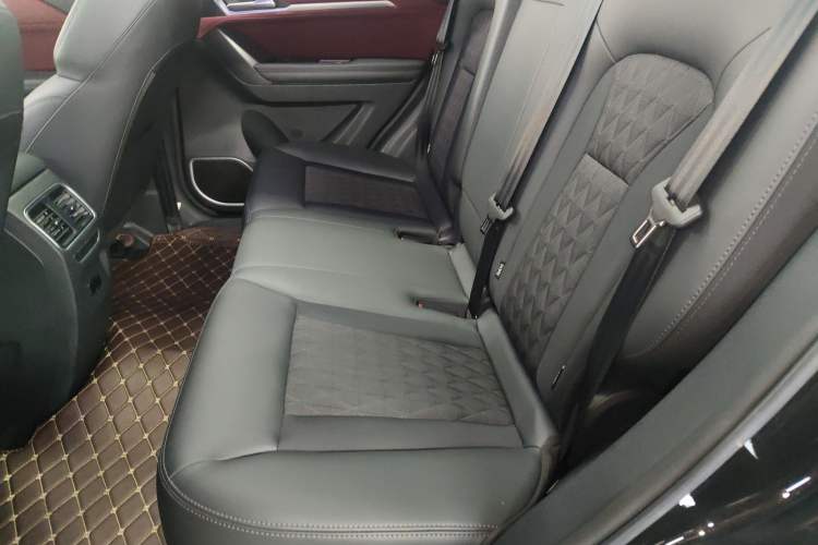 Used Haval H6 Coupe 2020 Smart Connect Version 1.5T Automatic Two-Wheel Drive Elite Model Left Rear Seat