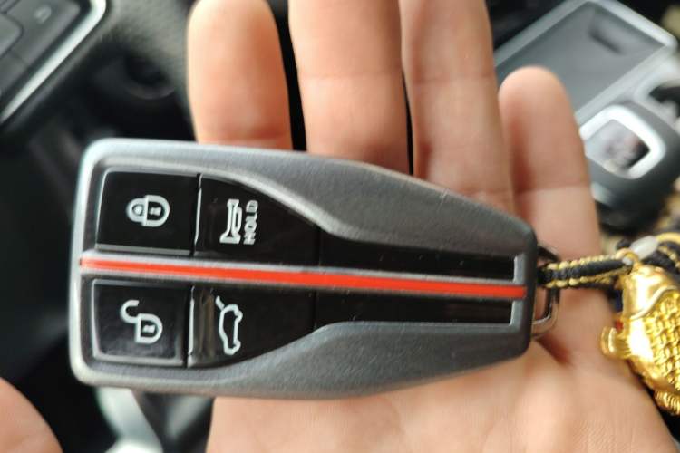 Used Hongqi HS7 2021 2.0T DCT Two-Wheel Drive Smart Connect Flagship Edition Vehicle Key