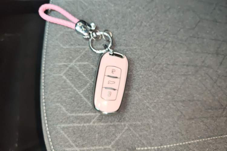 Used Geely Galaxy Panda 2024 Panda Mini 200km Endurance Bear
